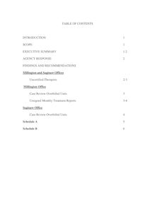 New Light Consultants Audit Report 2007-121