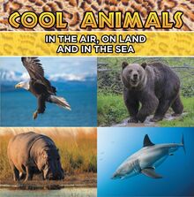 Cool Animals: In The Air, On Land and In The Sea