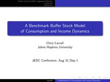 A Benchmark Buffer Stock Model of Consumption and Income Dynamics