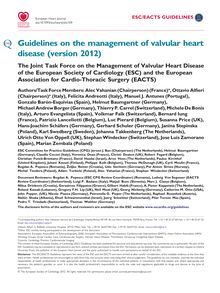 Guidelines on the management of valvular heart disease (version 2012)