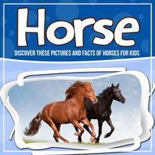 Horse: Discover These Pictures And Facts Of Horses For Kids