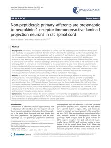 Non-peptidergic primary afferents are presynaptic to neurokinin-1 receptor immunoreactive lamina I projection neurons in rat spinal cord