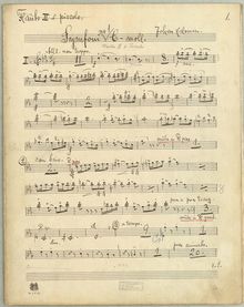 Partition flûte 2 et Piccolo, Symphony No.1, Symphony No.1 in C minor
