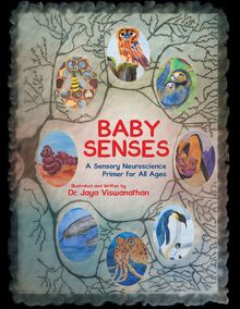 Baby Senses