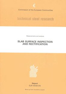 Slab surface inspection and rectification