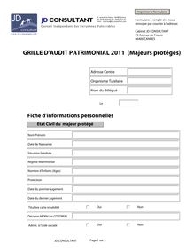 formulaire grille audit 2011