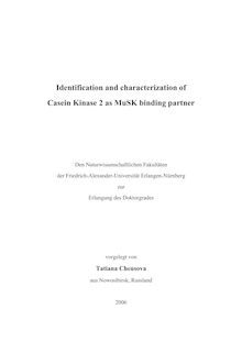 Identification and characterization of casein kinase 2 as MuSK binding partner [Elektronische Ressource] / vorgelegt von Tatiana Cheusova