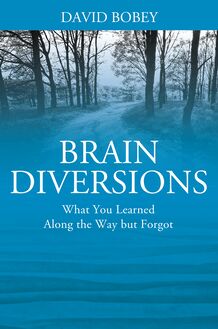 Brain Diversions