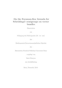 On the Feynman-Kac formula for Schrödinger semigroups on vector bundles [Elektronische Ressource] / Batu Güneysu