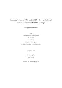 Interplay between ATM and ATR for the regulation of cellular responses to DNA damage [Elektronische Ressource] / vorgelegt von Xiaoxiang Fan