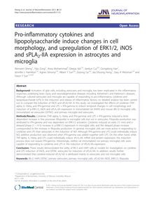 Pro-inflammatory cytokines and lipopolysaccharide induce changes in cell morphology, and upregulation of ERK1/2, iNOS and sPLA2-IIA expression in astrocytes and microglia