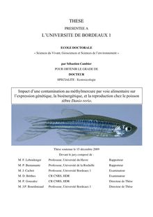 Impact d une contamination au méthylmercure par voie alimentaire sur l expression génétique, la bioénergétique, et la reproduction chez le poisson zèbre Danio rerio