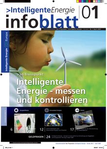 Intelligente Energie. Infoblatt