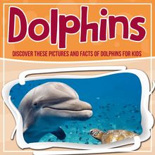 Dolphins: Discover These Pictures And Facts Of Dolphins For Kids