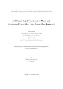 Self structuring of functionalized micro- and mesoporous organosilicas using boron silane precursors [Elektronische Ressource] / von Andreas Hans Peter Ide