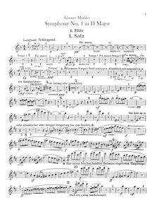 Partition flûte 1, 2, 3/Piccolo, 4/Piccolo, Symphony No.1, Originally titled "Titan"