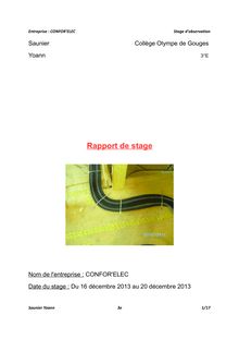 Rapport de stage : Saunier Yoann