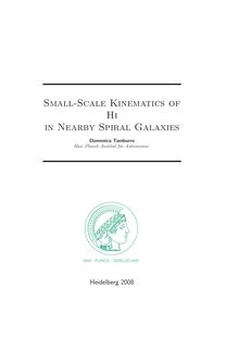 Small-scale kinematics of HI in nearby spiral galaxies [Elektronische Ressource] / presented by Domenico Tamburro