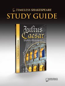 Julius Caesar Novel Study Guide