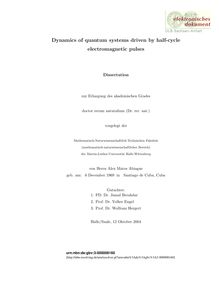 Dynamics of quantum systems driven by half-cycle electromagnetic pulses [Elektronische Ressource] / von Alex Matos Abiague