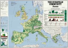 THE EUROPEAN COMMUNITY. Forests