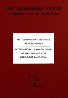 Det Europæiske Instituts Retningslinier