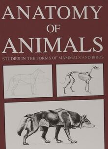 Anatomy of Animals: Studies in the Forms of Mammals and Birds