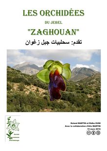Les orchidées du Jebel Zaghouan