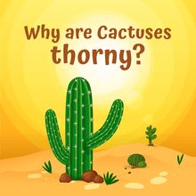 Why does a cactus have thorns?