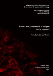 Notch1 and Lymphotoxin {β [beta] receptor in thymopoiesis [Elektronische Ressource] / vorgelegt von Vera Sofia Correia Martins