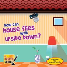 How can house flies walk upside down?