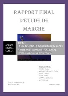 LE MARCHE DE LA FOURNITURE D ACCES A INTERNET EN AFRIQUE-CAMEROUN