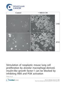 Stimulation of neoplastic mouse lung cell proliferation by alveolar macrophage-derived, insulin-like growth factor-1 can be blocked by inhibiting MEK and PI3K activation