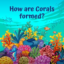 How are corals formed?