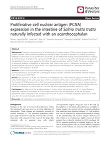 Proliferative cell nuclear antigen (PCNA) expression in the intestine of Salmo trutta trutta naturally infected with an acanthocephalan