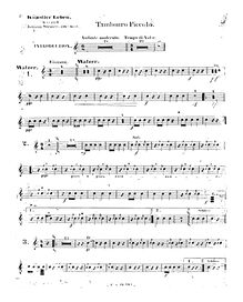 Partition Tambouro Piccolo, Künstlerleben, Op.316, Artist s Life