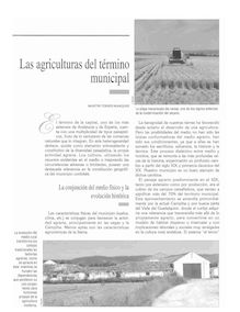 Las agriculturas del término municipal