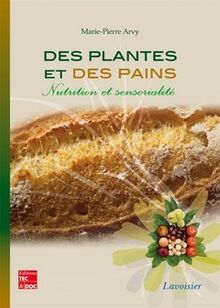Des pains aux plantes  nutrition et sensorialité