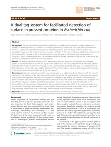 A dual tag system for facilitated detection of surface expressed proteins in Escherichia coli