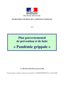 plan gouvernemental "pandmie grippale"