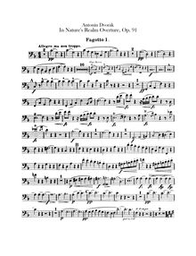 Partition basson 1, 2, en Nature s Realm, V přírodě, Dvořák, Antonín