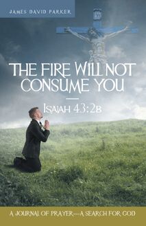 Fire Will Not Consume You-Isaiah 43:2B