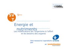 L'énergie et les nutriments (2)