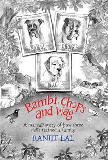 Bambi, Chops and Wag: How three dogs trained a family