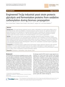 Engineered Trx2p industrial yeast strain protects glycolysis and fermentation proteins from oxidative carbonylation during biomass propagation
