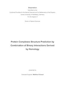 Protein complexes structure prediction by combination of binary interactions derived by homology [Elektronische Ressource] / presented by Matthieu Pichaud