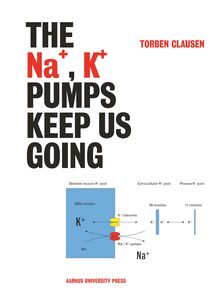 The Na+, K+ Pumps Keep Us Going