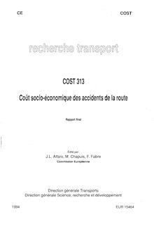 COST 313 - Coût socio économique des accidents de la route - Rapport final (EUR 15464)