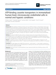 ATP-binding cassette transporters in immortalised human brain microvascular endothelial cells in normal and hypoxic conditions