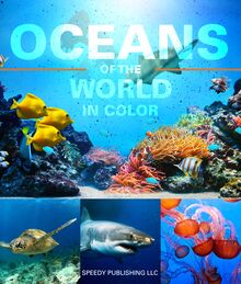 Oceans Of The World In Color